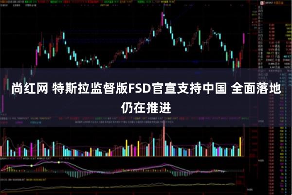 尚红网 特斯拉监督版FSD官宣支持中国 全面落地仍在推进