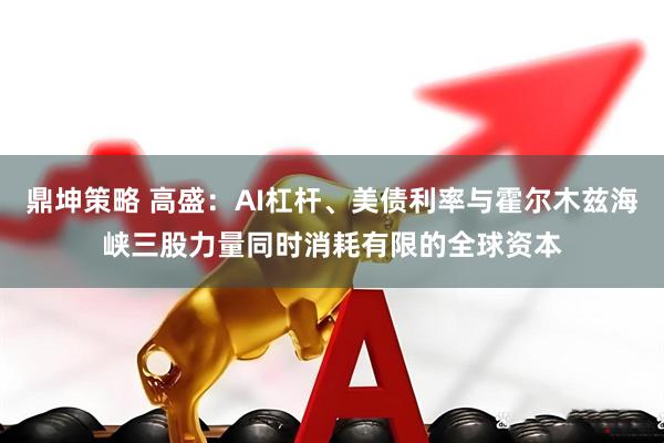 鼎坤策略 高盛：AI杠杆、美债利率与霍尔木兹海峡三股力量同时消耗有限的全球资本